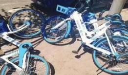 长春单车最新爆料,最新爆料揭秘未来出行新趋势