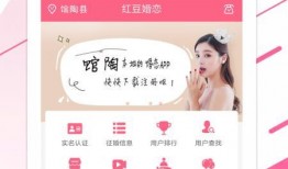 红小豆爆料视频大全最新,揭秘娱乐圈幕后真相