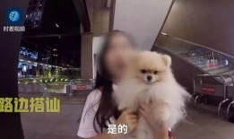 外国渣男爆料视频播放,揭秘不为人知的情感背叛真相